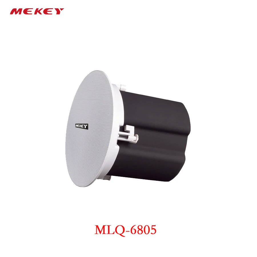 Compact Audio Loudspeaker Speaker with 8 Ohm Nominal Impedance Design