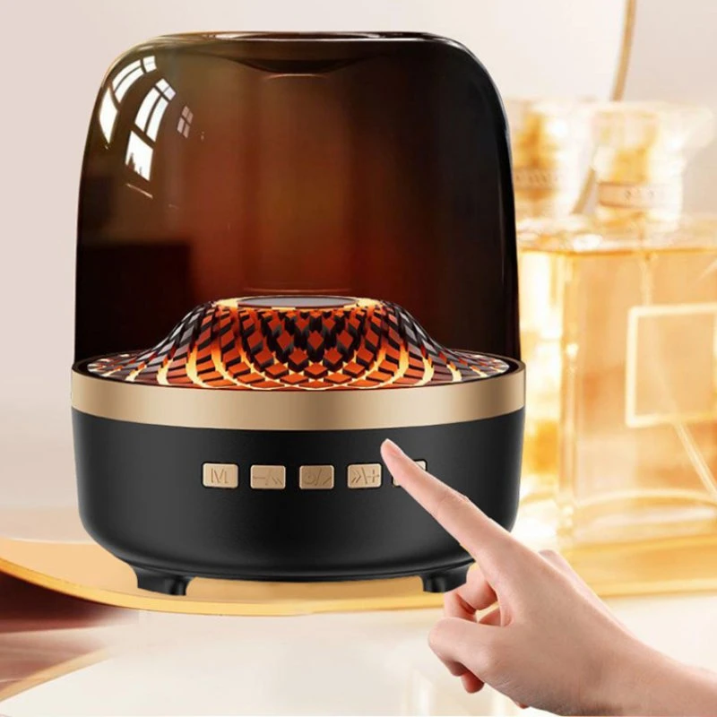 Computer Speakers