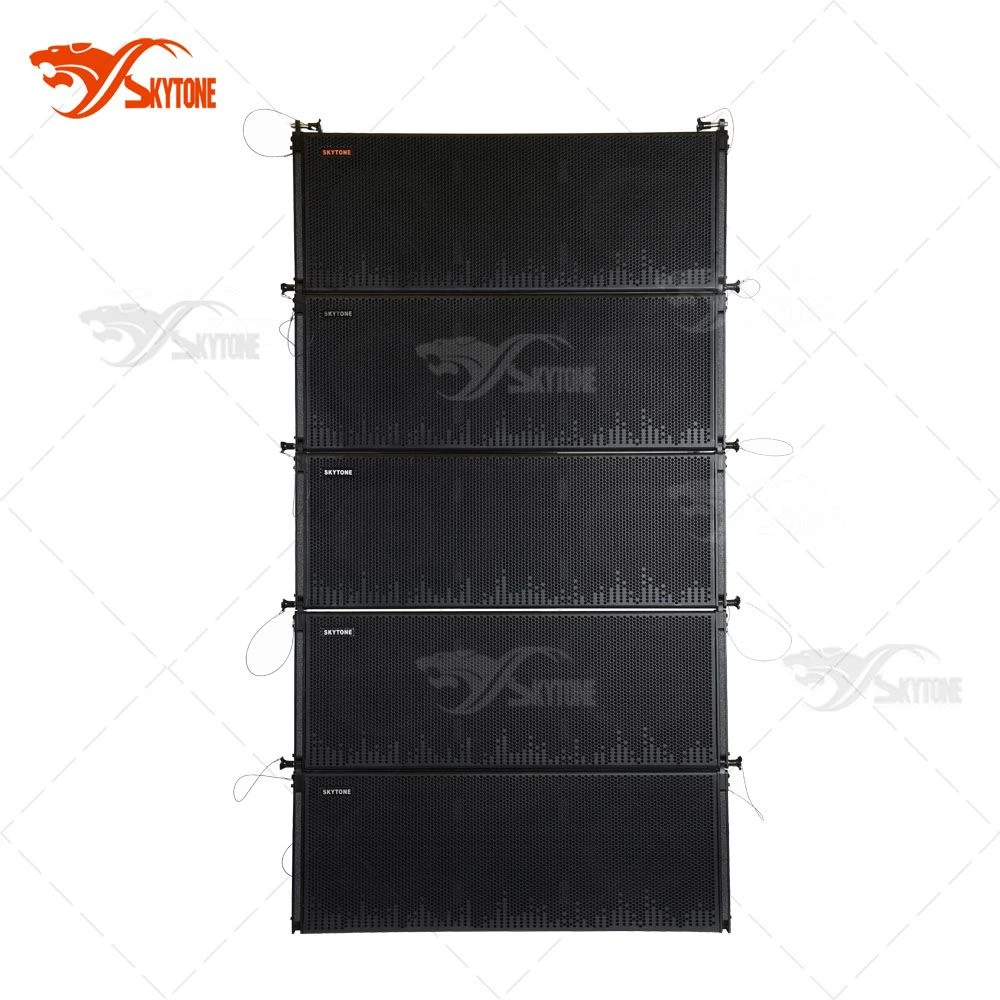 Constant Curve Array Speaker, Dual 12 Inch Vera36 High-Power Linear Array Audio Speaker