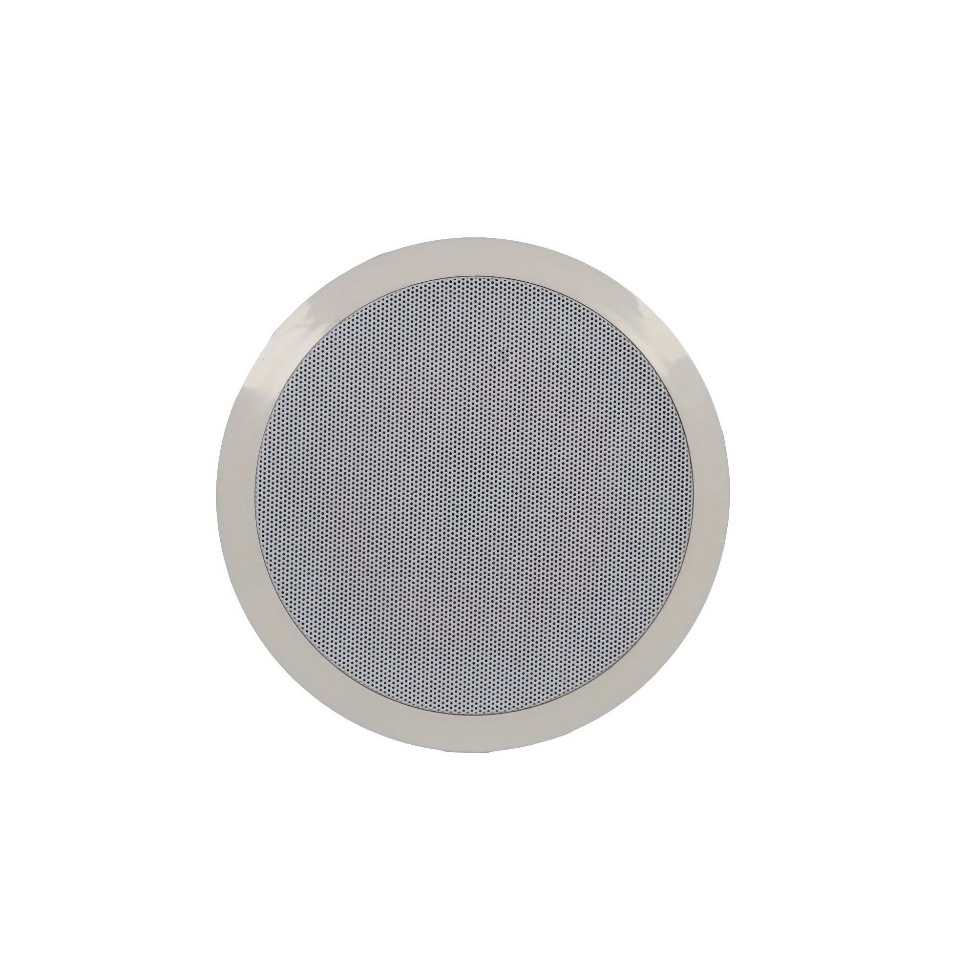 Coxial Tweeter 6 Inch 20W Ceiling Speaker