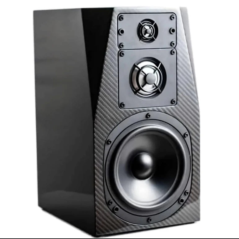 Custom Carbon Fiber Speaker Enclosure