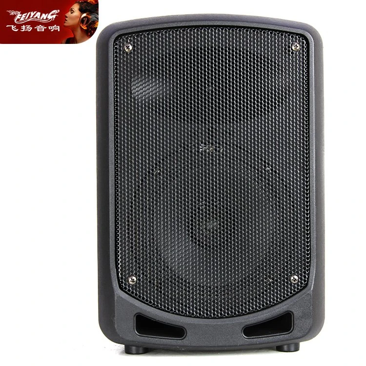 Custom Handy Mobile Bicycle USB Radio Backpack Portable 6 Inch Bluetooth Audio Loud Speaker