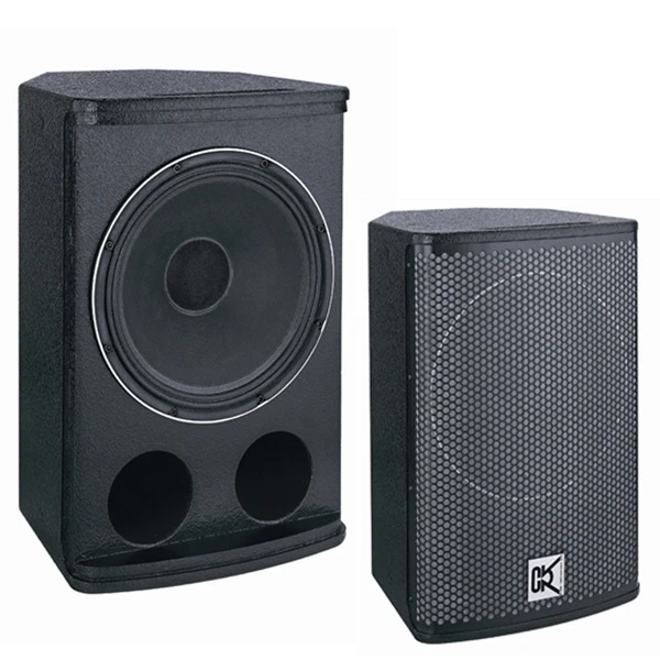 Cvr 300 RMS Night Club DJ Audio 2-Way Speaker