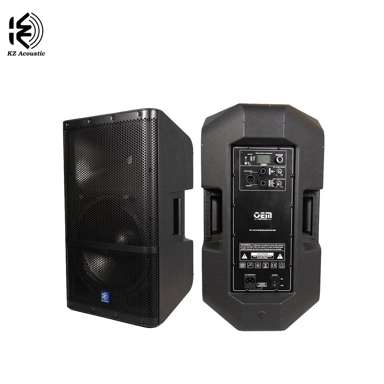 D12A 110V/230V DSP Active Speaker for Conference Room