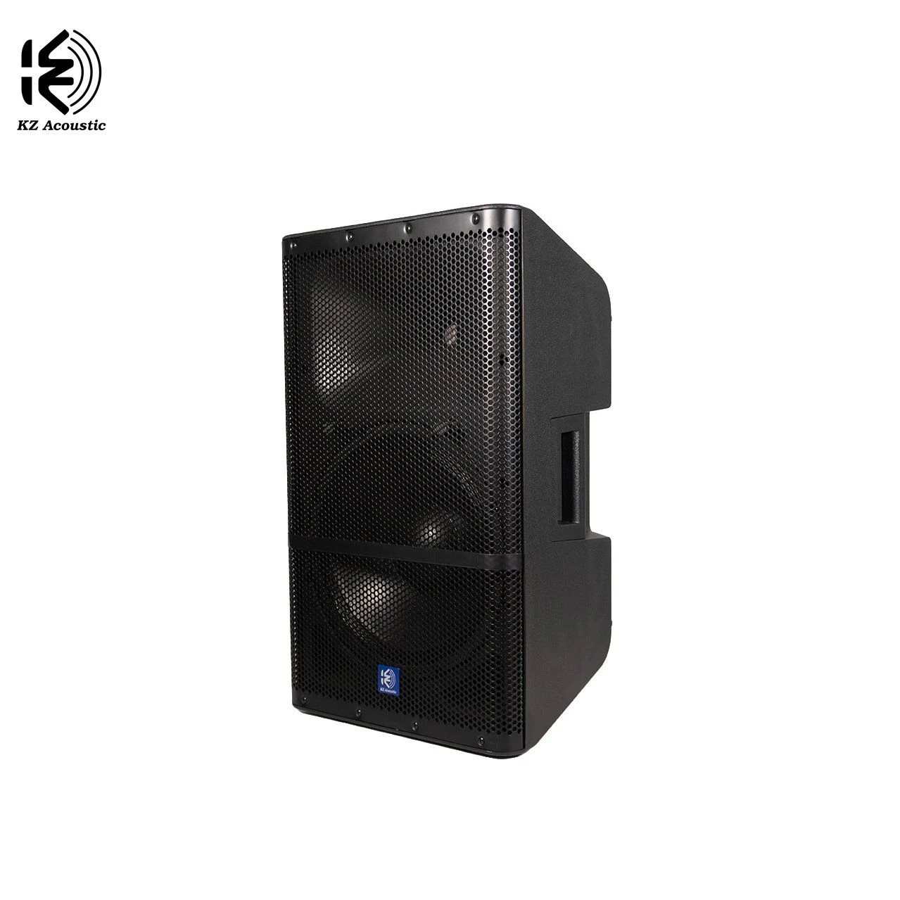 D12A 350W RMS Tws Class D Powered PA Speaker