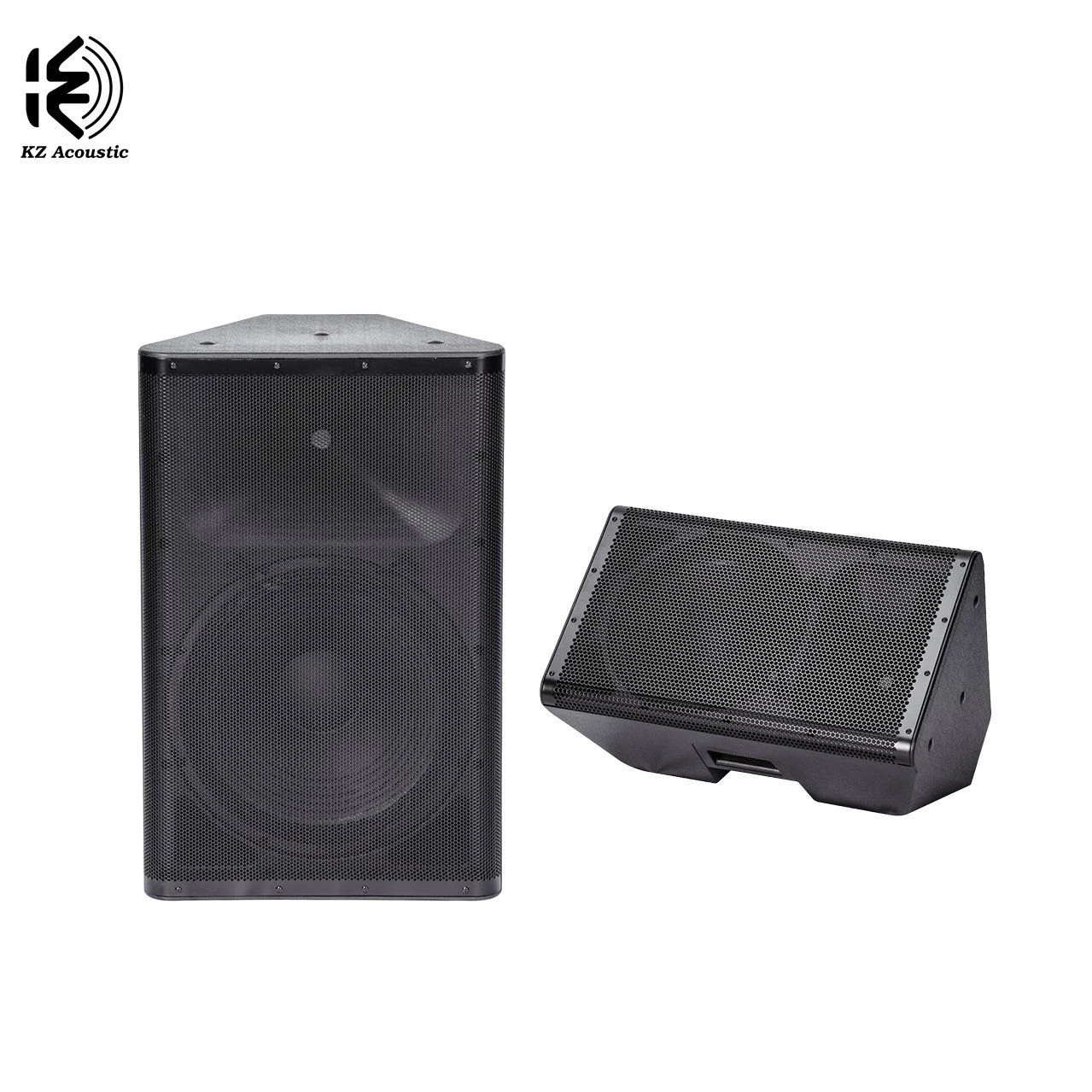 D15A 300W+50W RMS High Performance 15 Inch Active Speaker