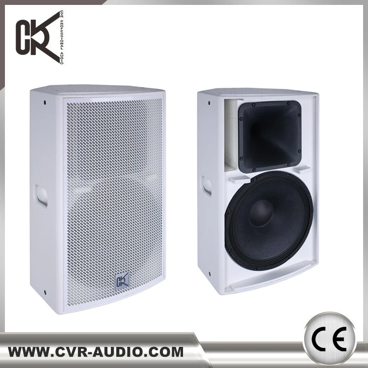 DJ Equipment, Full Range Loudspeaker System