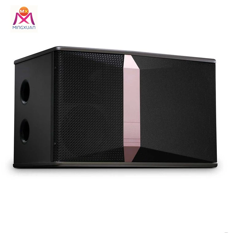 DJ Home Party Woofer Full Range Speaker 10 Inch Caraoke Sound Equipment