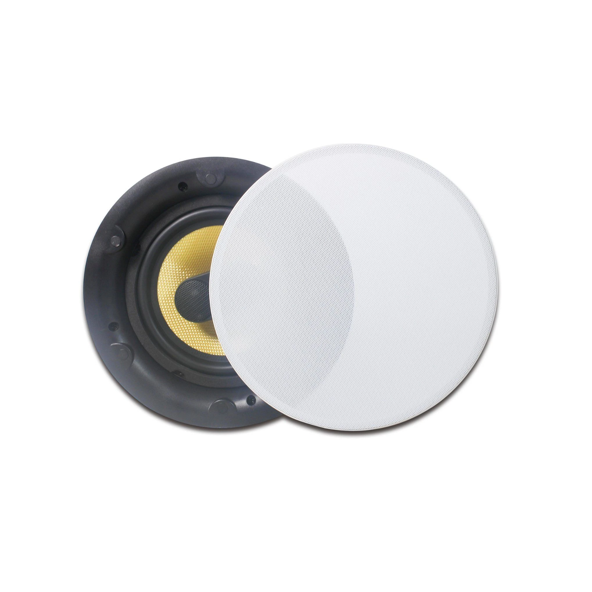 Dante Ceiling Speaker PA Audio 2-Way ABS in Ceiling Speaker at High Performance Poe Power Supply Dante System