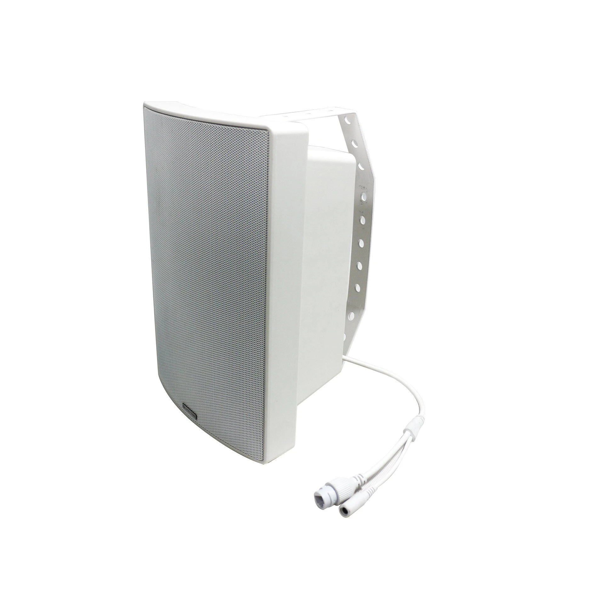 Dante Network DSP Wall Mount Speaker 30W with Ipx4 Body Poe Power Supply