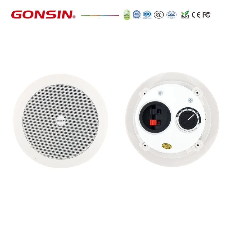 Digital Ceiling Speaker Public Addressing