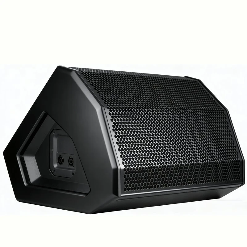 Domc 10-Inch 2-Way High Sensitivity High Performance Full-Range Studio & Stage Monitor Speaker with Clear Highs & Powerful Lows for Professional Audio Live Even