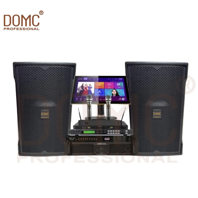 Domc K210 PRO 10-Inch Speaker for Concerts and Events