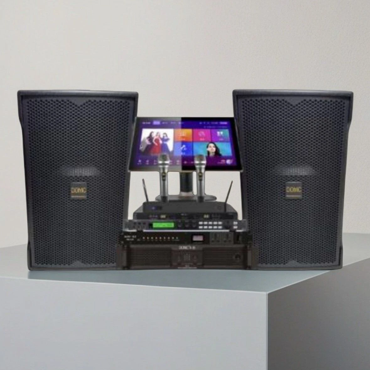 Domc K215 PRO Stage High-Power 15 Single Speaker