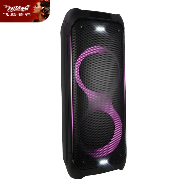 Double 10 Inch Karaoke Speakers Wireless Mic Active DJ