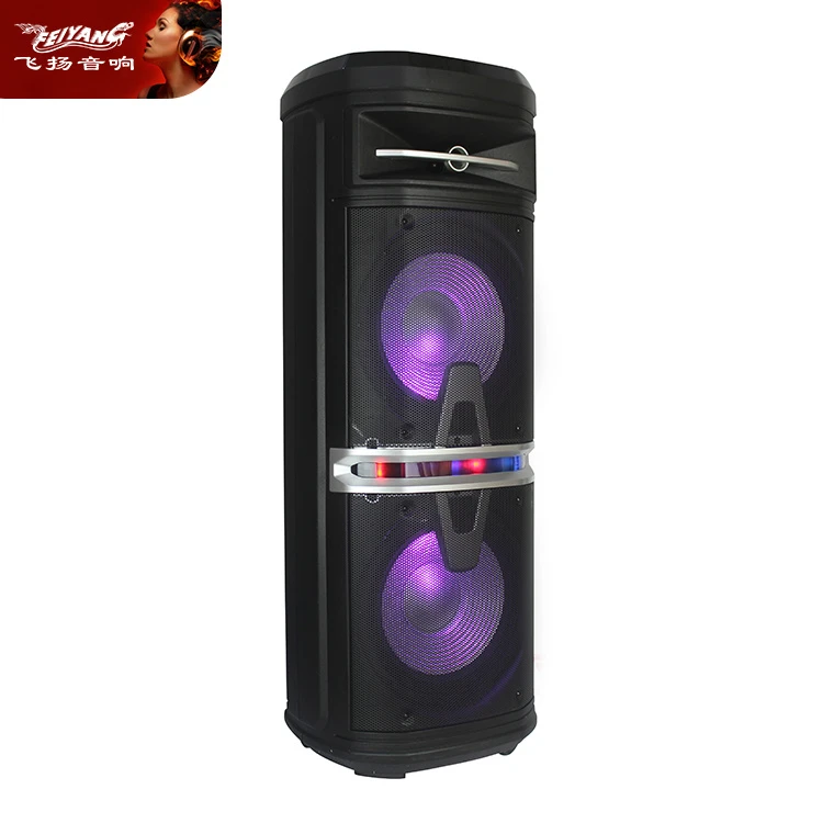 Double 10 Inch LED Light Subwoofer Portable Wireless Bluetooth Speaker