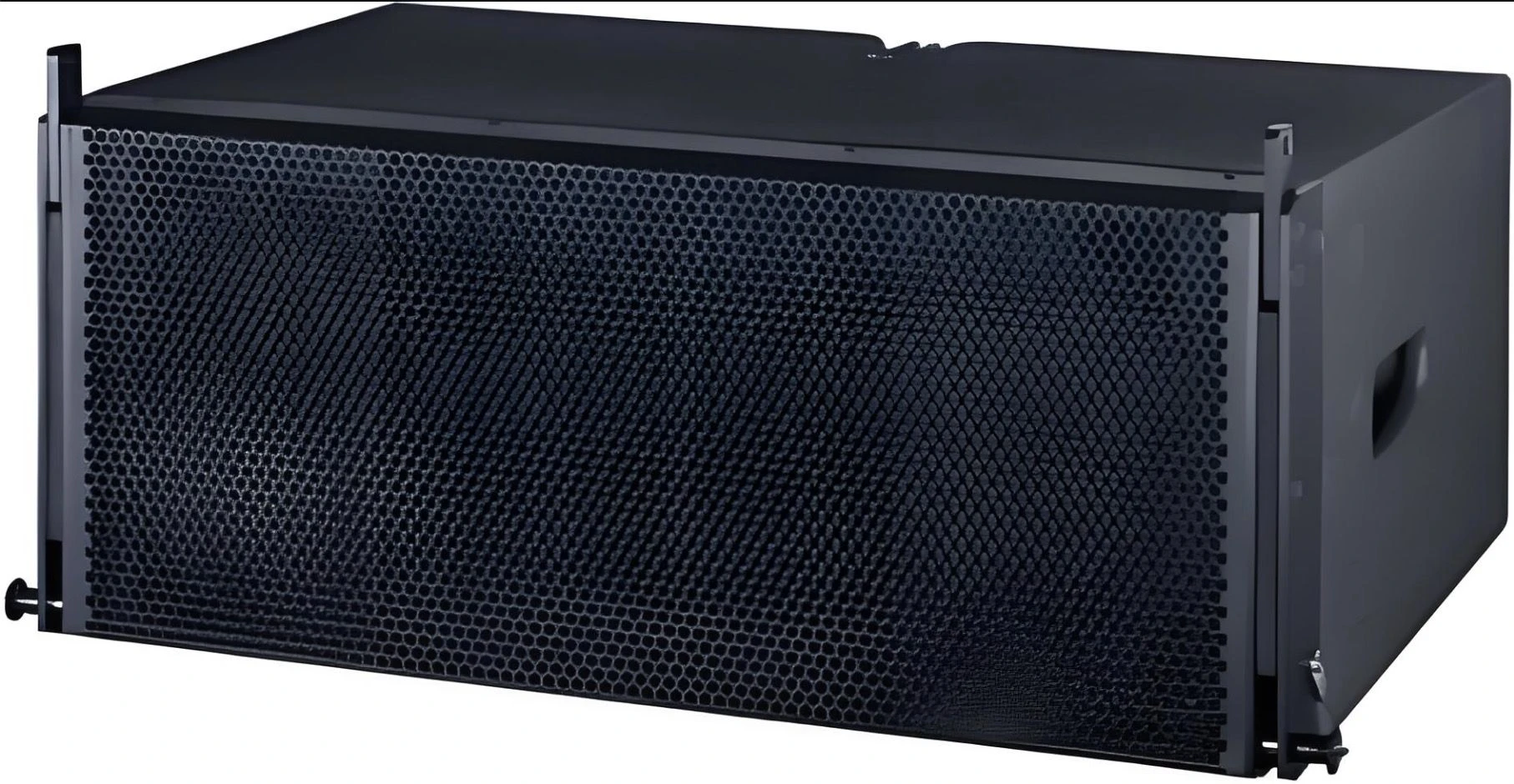 Double 10 Inch Linear Array Speaker
