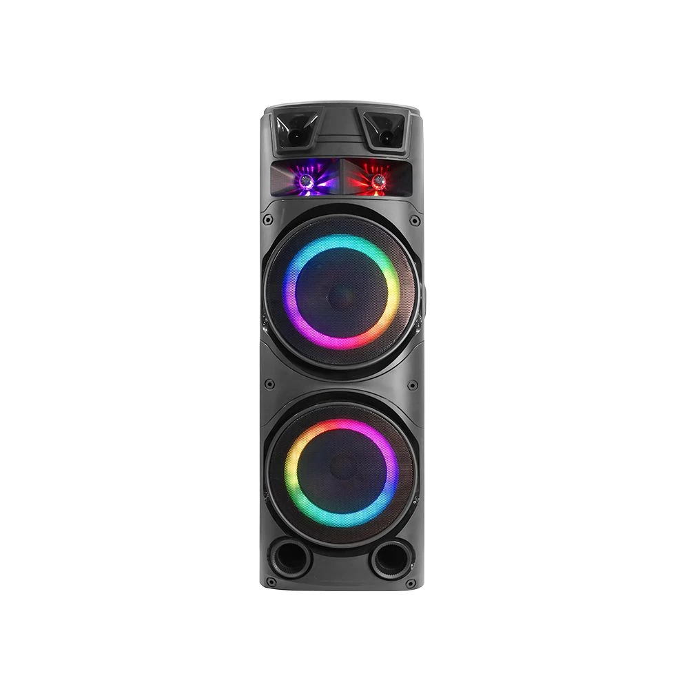 Double 10inch Karaoke Trolley Speaker with LED Light