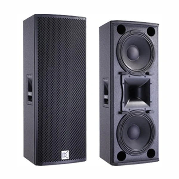 Double 12 Inch Outdoor Big Power PA Speaker