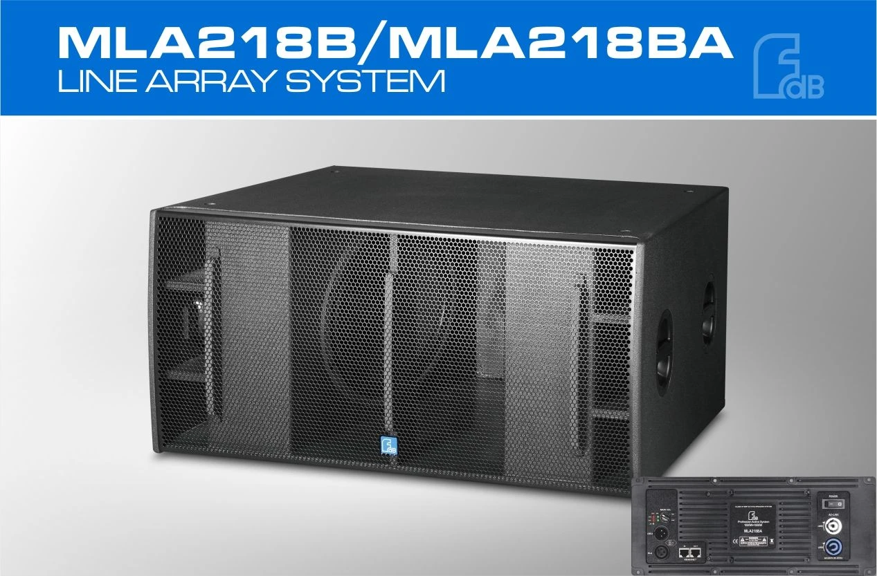 Double 18″ High Power PRO Audio Bass Subwoofer