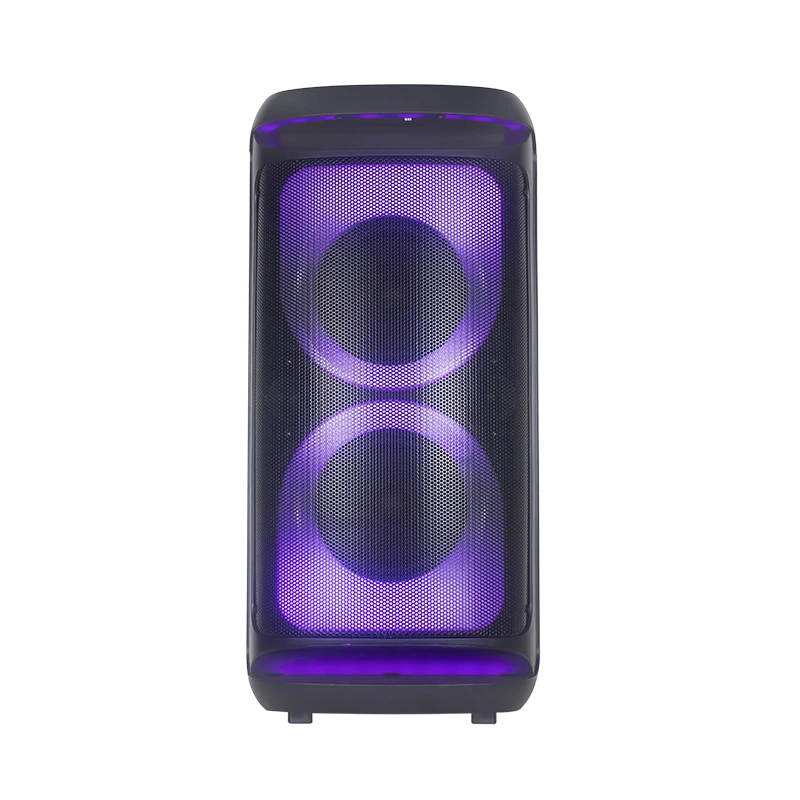Double 6.5 Inches Bluetooth Speakers 40W Output Power Bt Portable Speaker with Class D Amplifier Excellent Bass Performance