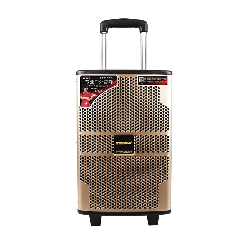 Double 8 Inch Trolley Portable Bluetooth Speakers Outdoor Party Speaker