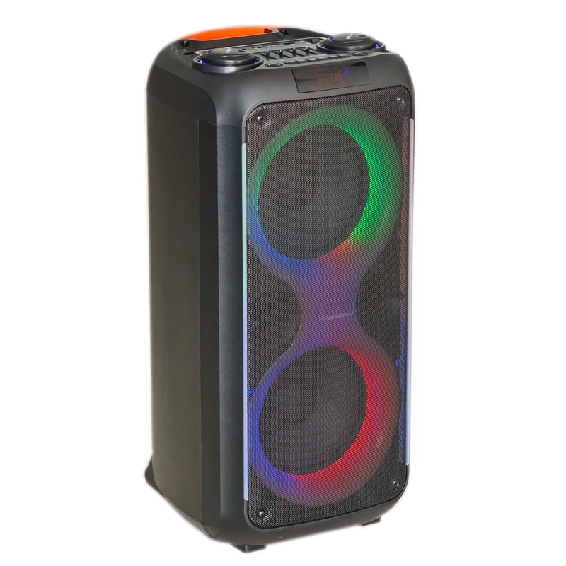 Double 8 Inches Bluetooth Party Portable Active Speaker
