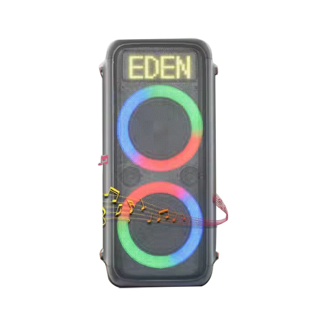 Double 8 Inches Haut Parleur Super Bass Waterproof Portable Speaker for Party Karaoke Blue Tooth Speakers with RGB Light