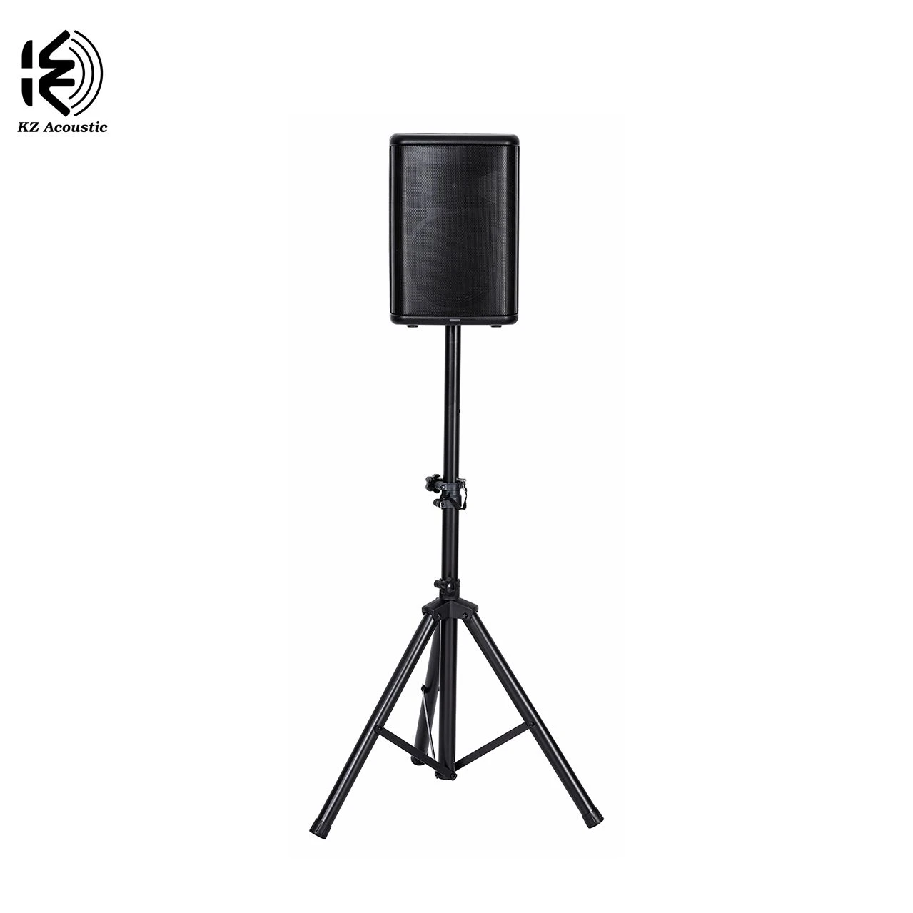 Dp100 8 Inch 40W RMS Plastic Cabinet Active Battery Speaker