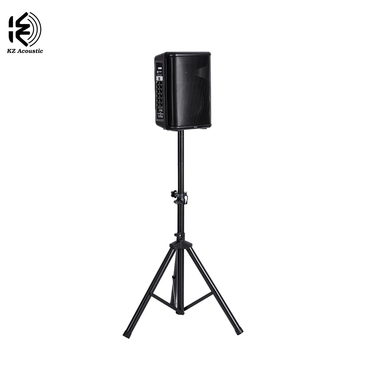 Dp100 Class D Amplifier 80W Max Power Portable Battery Speaker