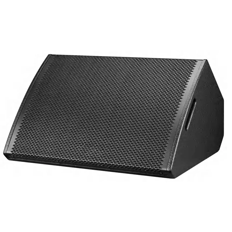 Dragonstage Professional Stage Monitor Speaker Series Passive & Active Floor Monitor Speakers