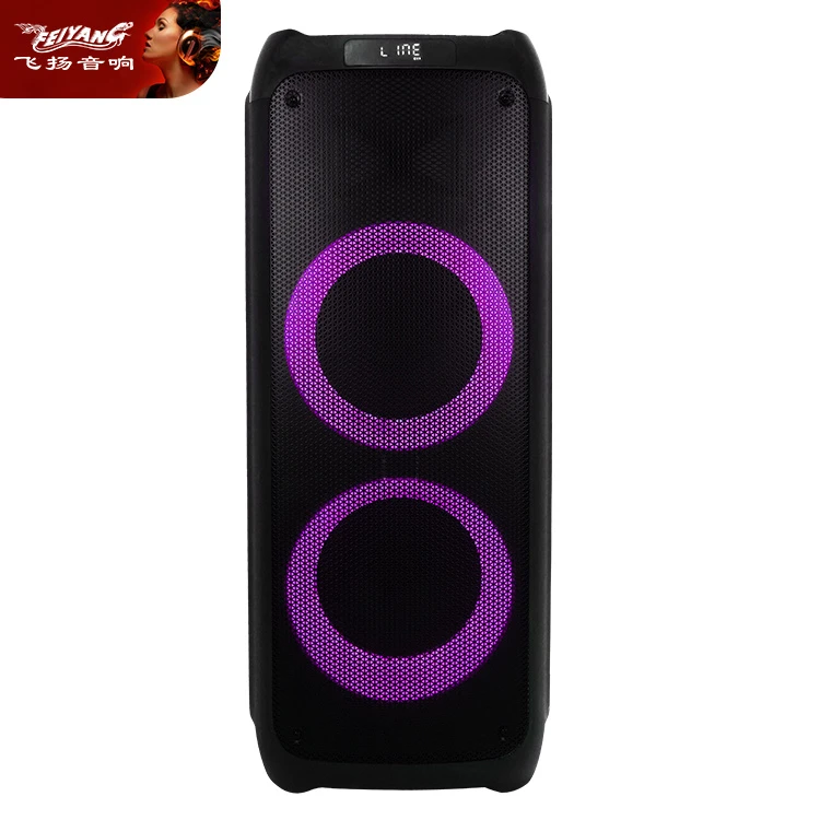 Dual 10 Inch 100W Professional Active Outdoor Karaoke Trolley Speaker