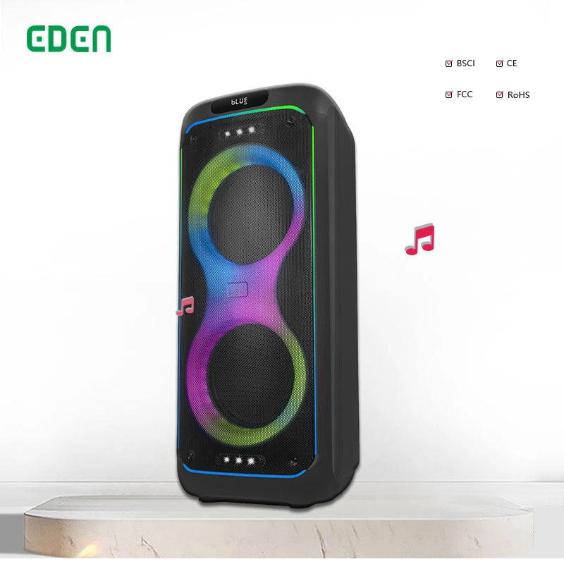 Dual 10 Inch Multimedia Woofer Partybox Loudspeaker Blue Tooth Audio Sound Box Case Portable Speaker