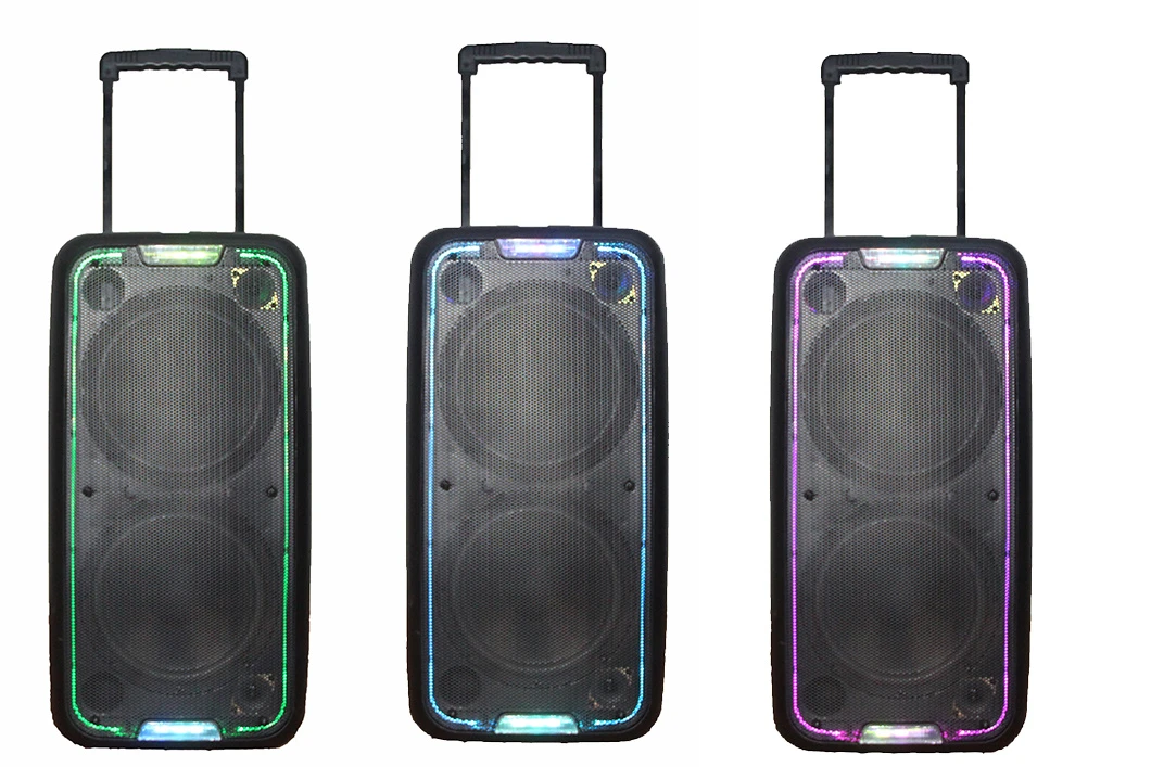Dual 10 Inch Professional PA Wireless Portable Speaker Box