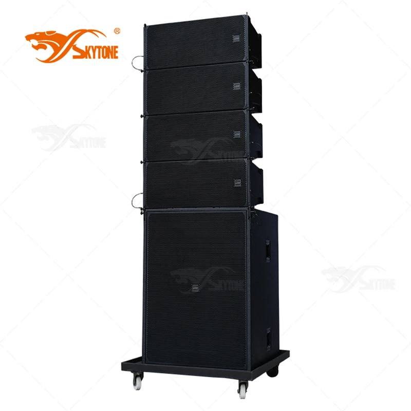 Dual 10″ Line Array Top Speaker System Skytone Brx310la