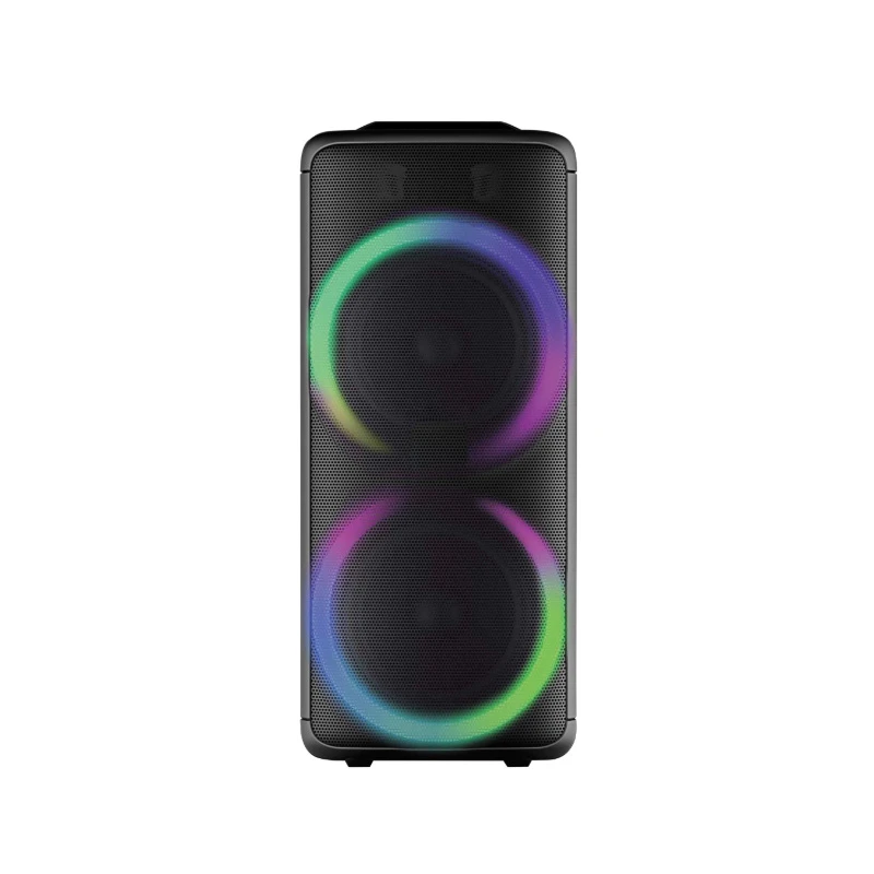 Dual 10inch Active Stereo Private Portable FM Radio Wireless Outdoor PRO Audio Bluetooth Speaker