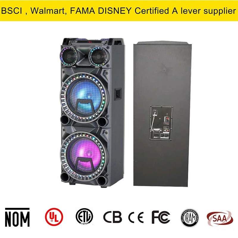 Dual 12inch Bluetooth Audio Speaker with Echo Function