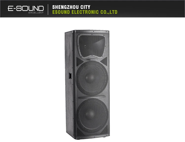 Dual 15 Inch Plywood Speaker Box PA215f