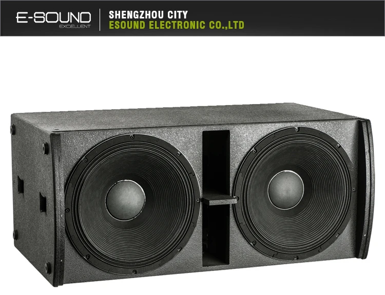 Dual 18 Inch Professional Speaker Box Design PE218sub