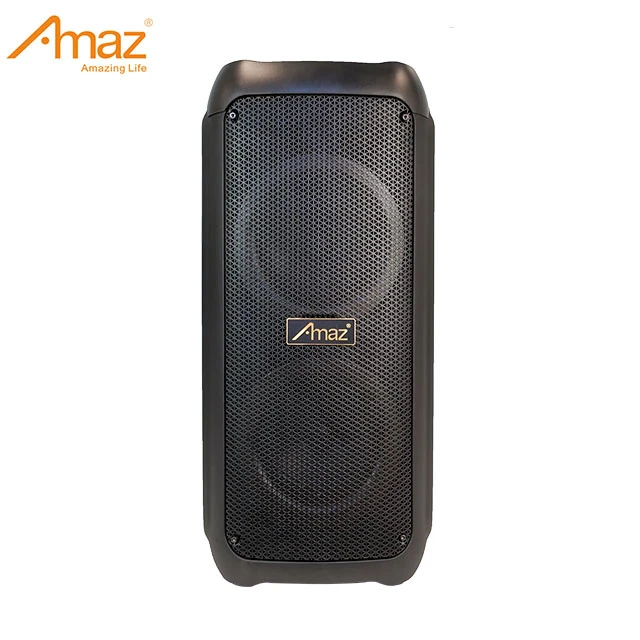 Dual 6 Inch Professional Sound Box with Lighting Portable Wireless Party Speaker