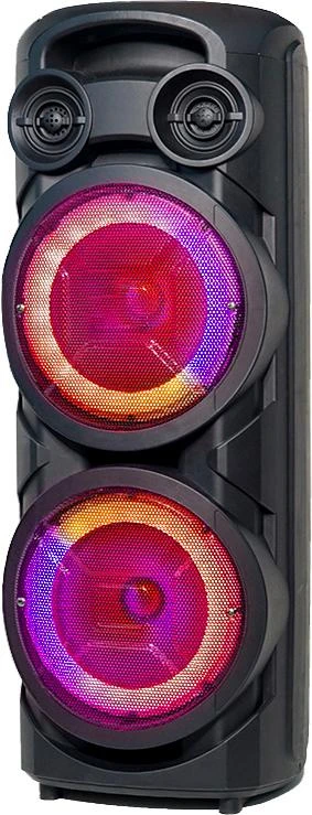 Dual 8 Inch Portable Loud Speaker Outdoor Party Speaker with LED Light