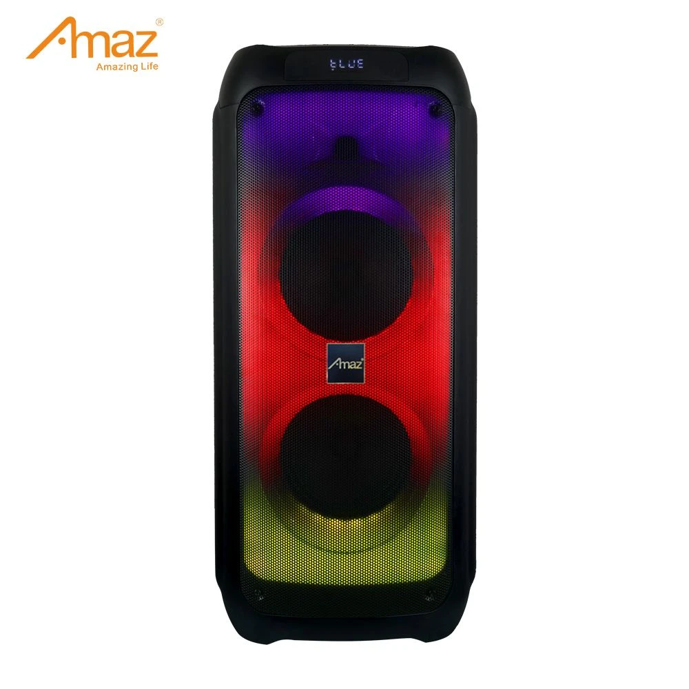 Dual 8 Inch Portable Wireless Speaker Audio Professional Big Power Party Speaker