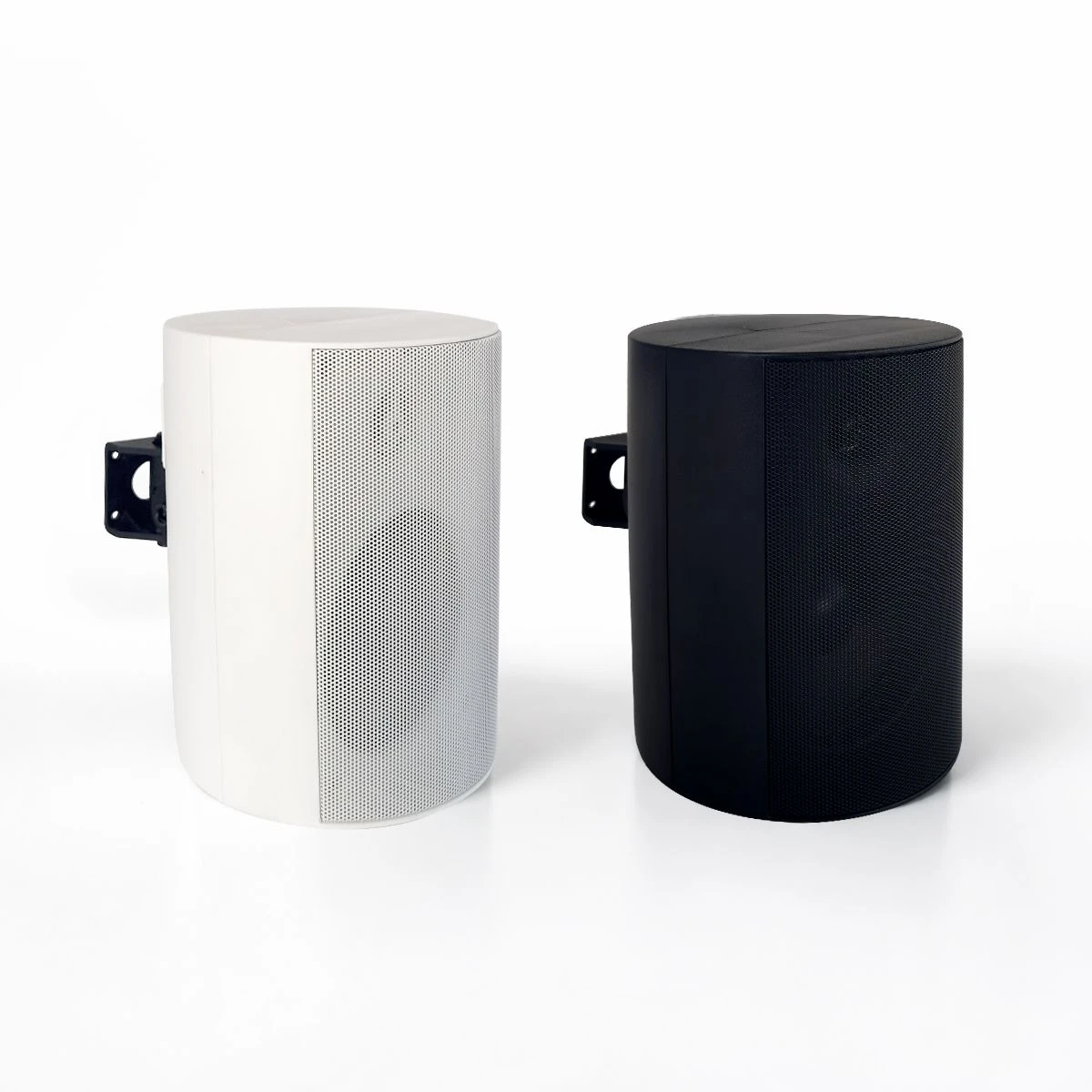 Dual-Mode 100V / 8ω PA Wall Speaker W36