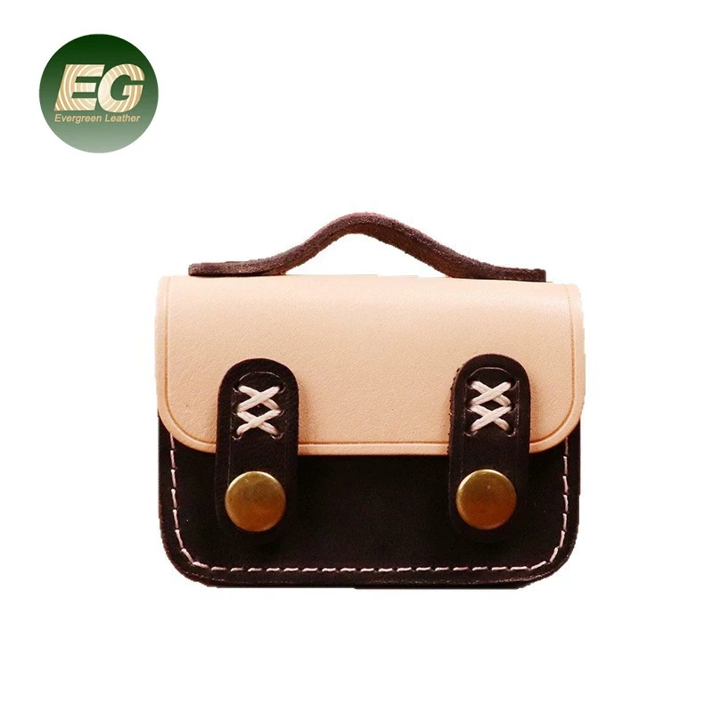 Ea850 Luxury Bluetooth Leather Earphone Case Protective Carrying Charm Display Travel Vintage Holder Small Coin Storage Cases