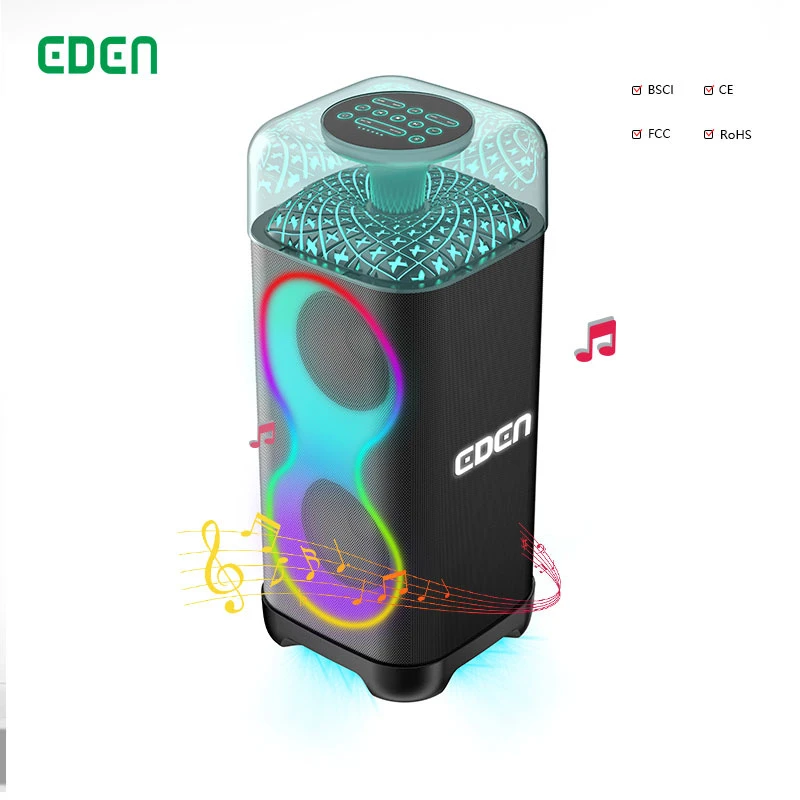 Eden New Models Bluetooth Speakers Dual 6.5 Inch Customizable Speaker Portable Sound Box Portable Bluetooth Speakers
