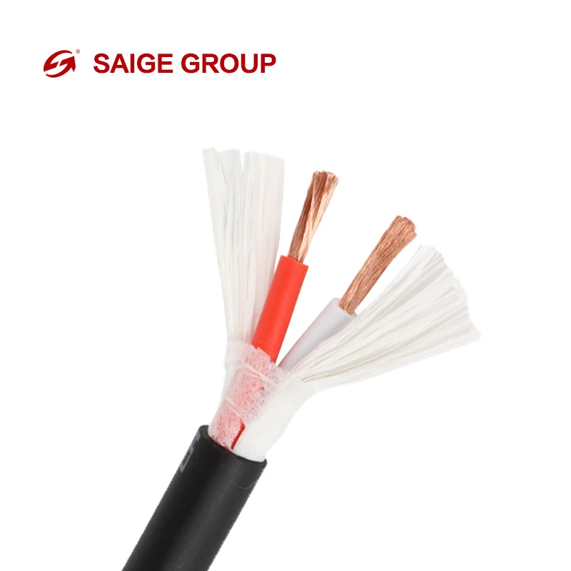 Evjv OFC Speaker Cable for Professional Audio Sound System Installation