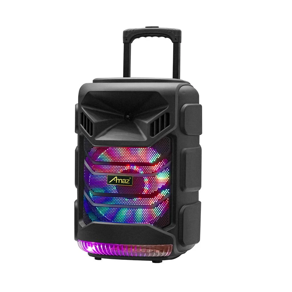 Factory 12 Inch Karaoke Box Wireless Speaker Bluetooh Trolley Speaker
