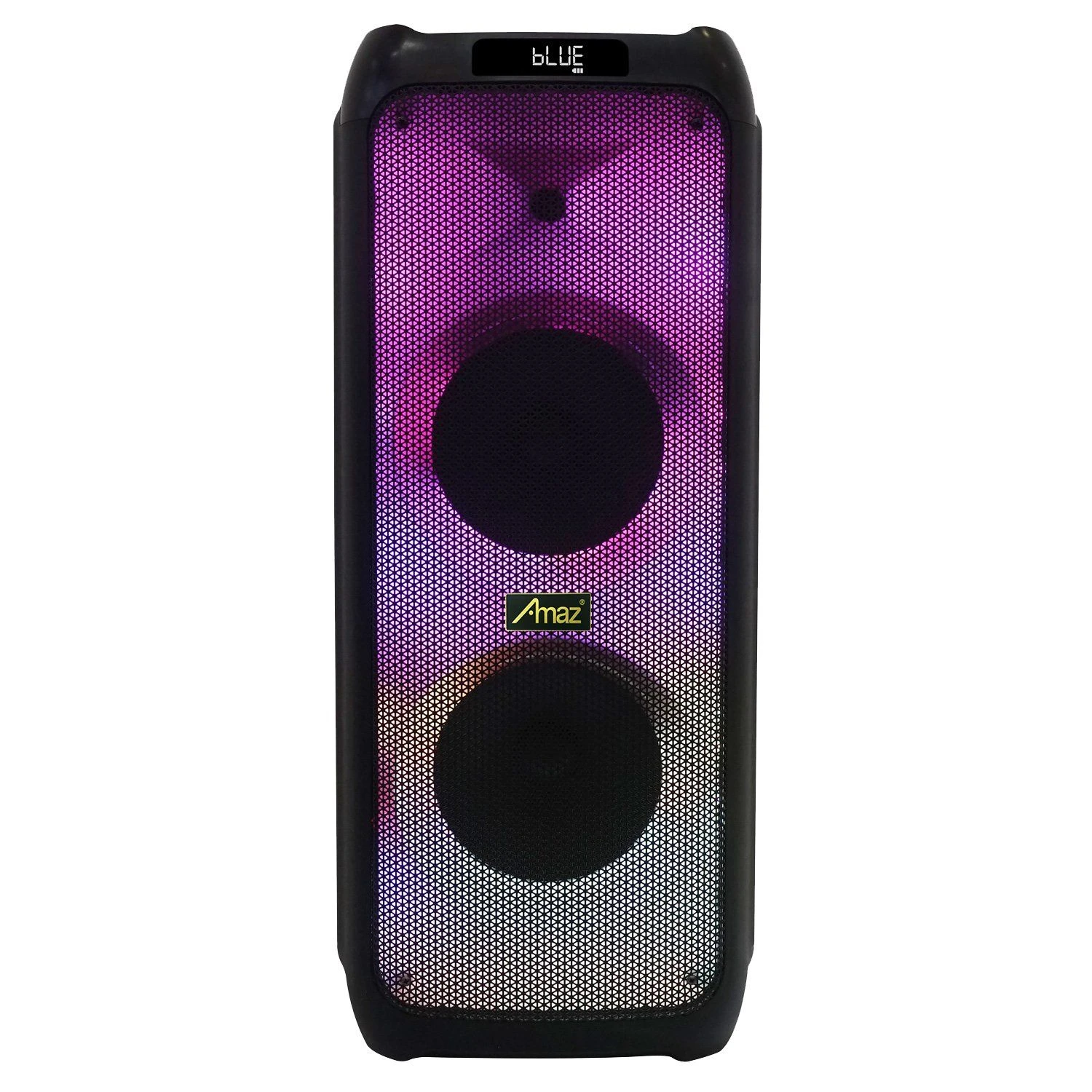 Factory High Quality Dual 10 Inch Flame Light Wireless Speaker