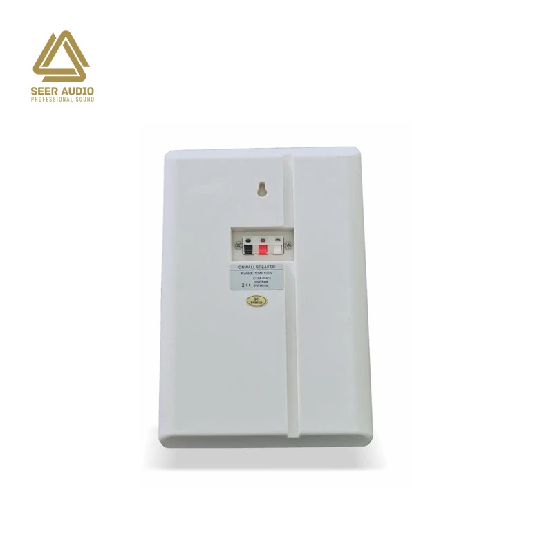 Factory Mini PA Amplifier Speakerswhite for Home Theater in-Wall Mount Speaker