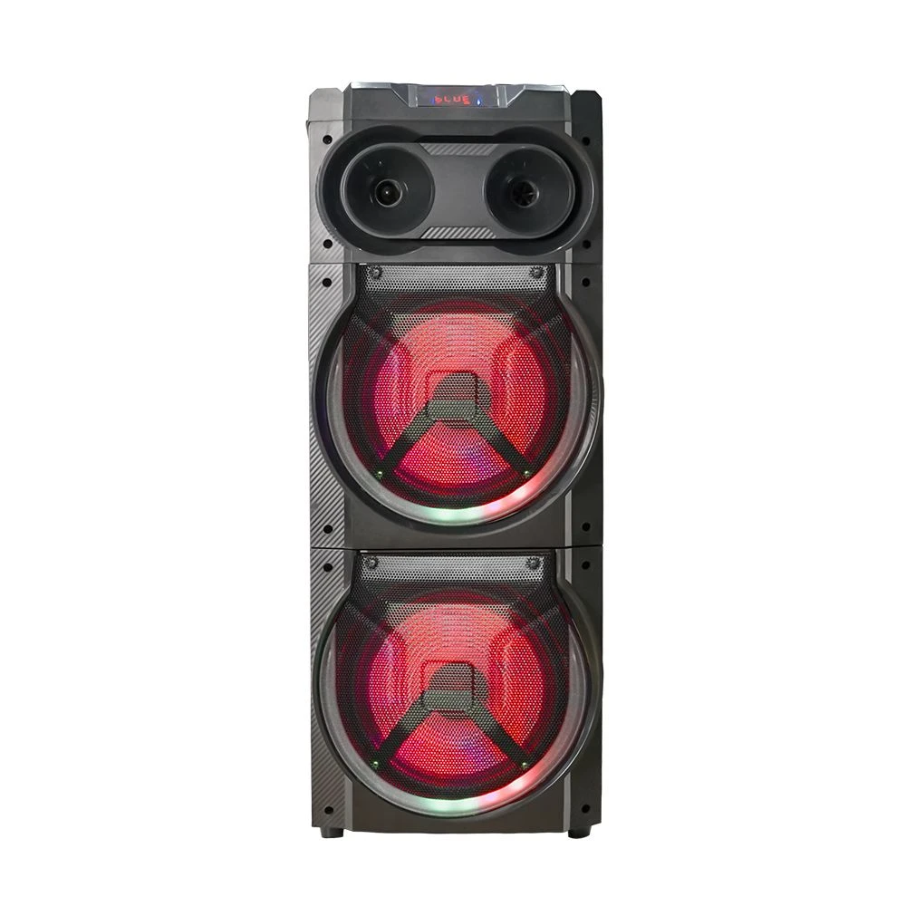 Factory OEM Model Dual 10 Inch Portable Karaoke Speaker